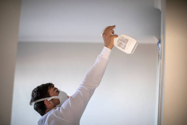 Best Local Mold Removal Service  in Seven Points, TX