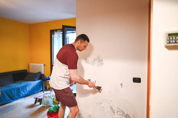 Best Mold Removal Near Me  in Seven Points, TX