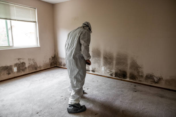 Water Damage Restoration in Seven Points, TX